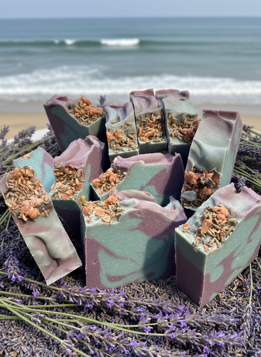Salted lavender in a bed of lavender and stones